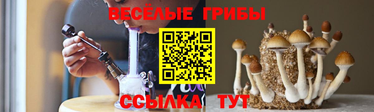 Карпинск  Псилоцибиновые грибы мухоморы  Вход с VPN 